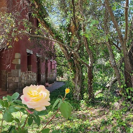 Apartamentos Rurales La Oropendola ハライス・デ・ラ・ベラ エクステリア 写真